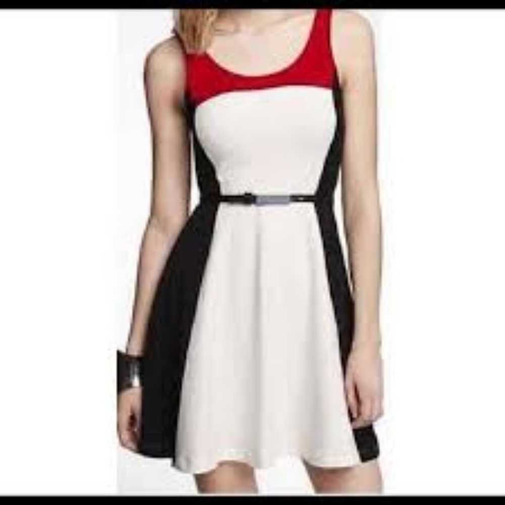 NWT Express Color Block Skater Fit & Flare Dress